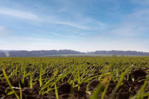 Nearby Countryside