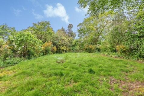 pbox-IMG.jpg