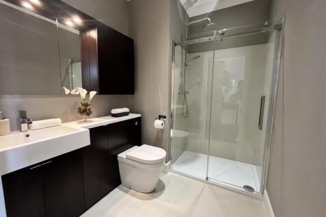 Shower Room (downstairs)