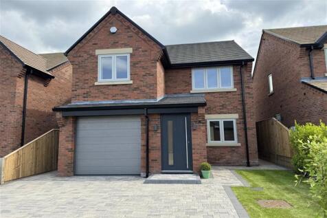 (Main)