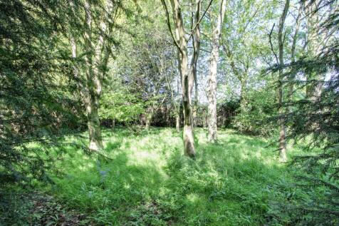 Property Image 43
