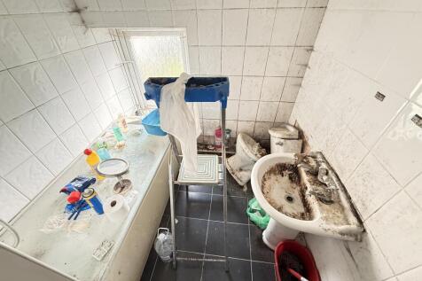 IMG 1628 T202510041743.jpg