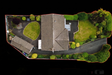 Birdseye 2