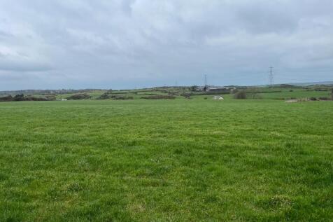 Grassland