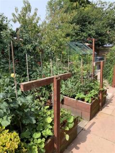 Greenhouse and Vegetable Gardens