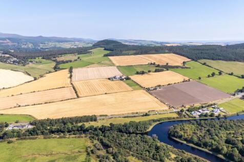 Lot 1 - Wester Moy