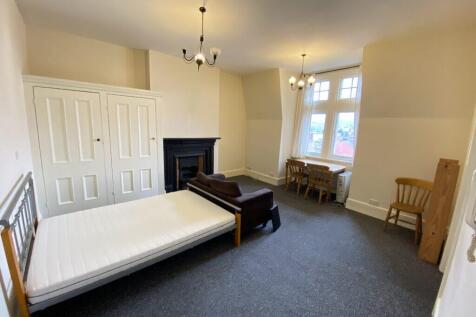 Andrew Lloyd Estates are pleased to offer this large Studio Flat with separate kitchen at this Grade II listed building (The Salisbury Hotel) in the heart of Manor House. Situated within a 5-minute wa