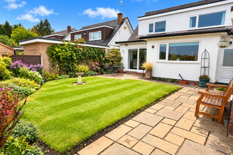 Sunny Suburban Garden Retreat (4).png