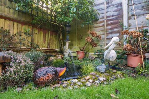 Garden Pond