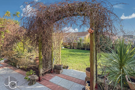 20250218_13162775...