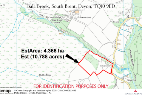 Land Plan