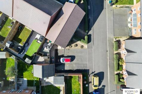 Birdseye