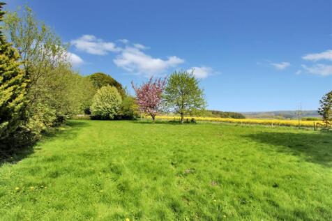 Rear Garden.JPG