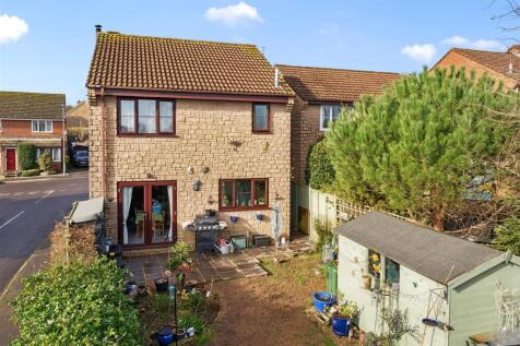 Rear aspect