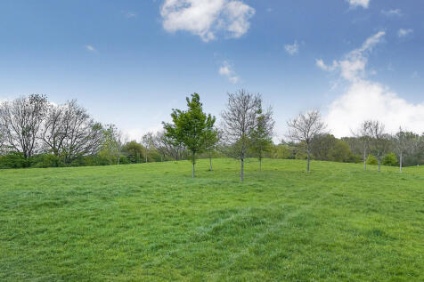 Park view