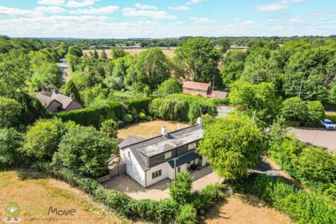 Drone Imagery
