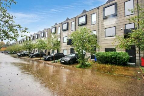 IMG_6041