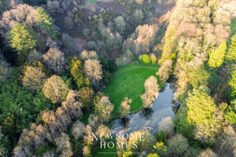 Aerial Shot