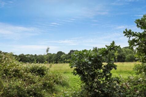 open rear aspect.JPG