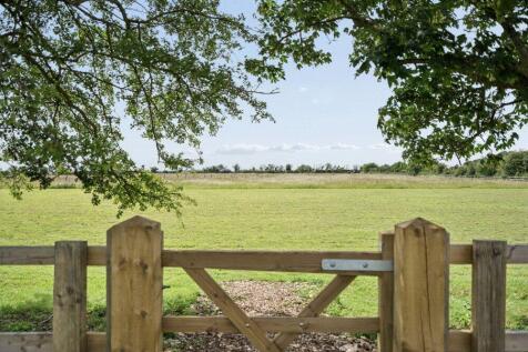 View Out To Paddock