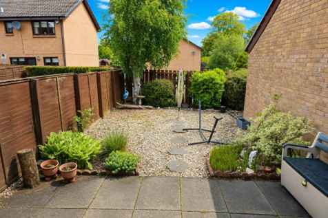 rear garden.png