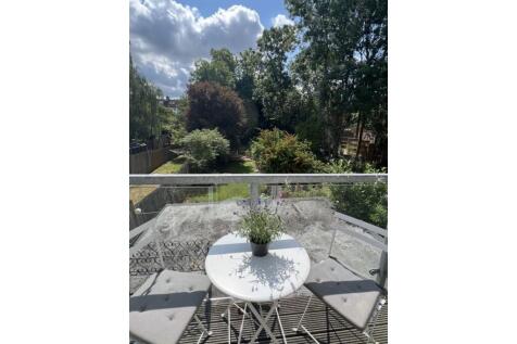 Roof Terrace