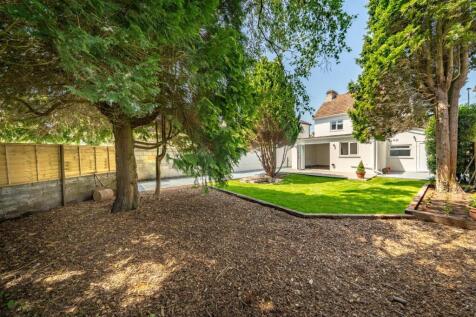Rear Garden III.jpg