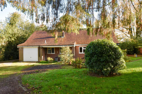 Rear Aspect 2