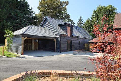 PG-P10-PaddockGrove-July26-7578.jpg