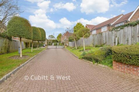 Driveway/Parking