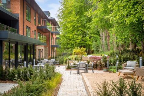 Landscaped Garden