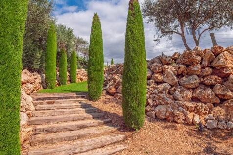 Property Image 39
