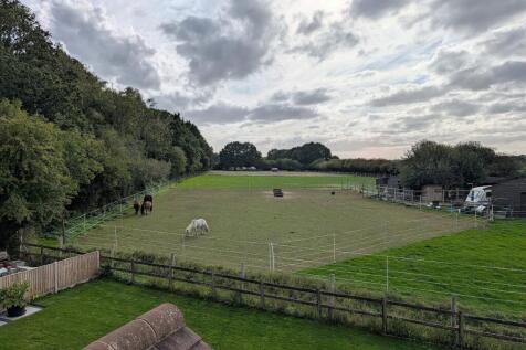 VIEW FROM BEDROOM