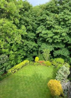 Garden.jpg