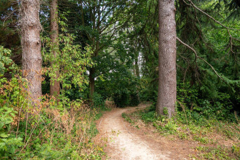 Surrounding Area