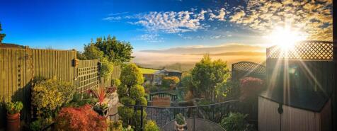 Belper Lane Garden 7.jpg