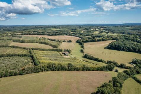 New Pond Farm