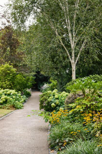 309441 - AJ8A5634.jpg