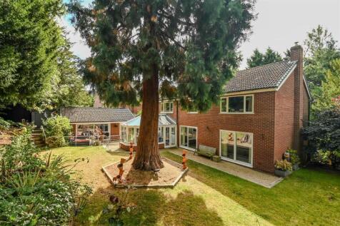 Property Image 4