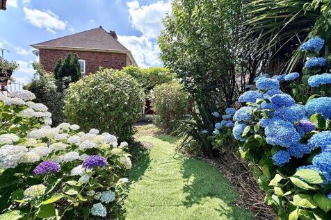 SIDE GARDEN