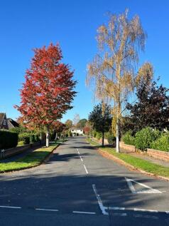 manor green