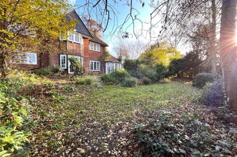 Property Image 31