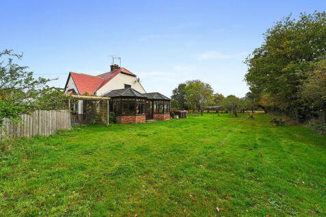 PT-FC(COL)-TheBir...