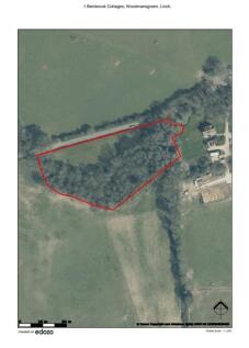 Edozo map aerial view.jpg