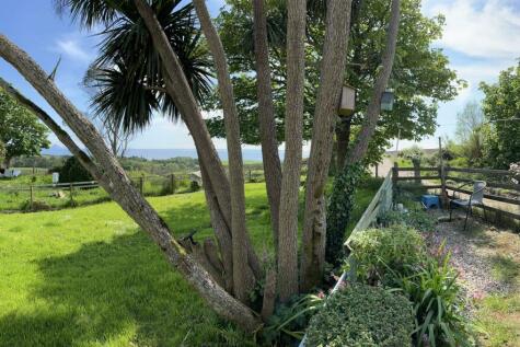 View across the gardens