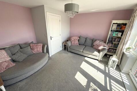 thumbnail_image4 (3).jpg