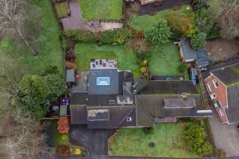 Plot View