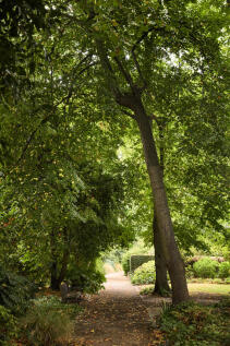 309436 - AJ8A5613.jpg