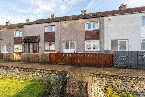 MFL1252461_581.jpg