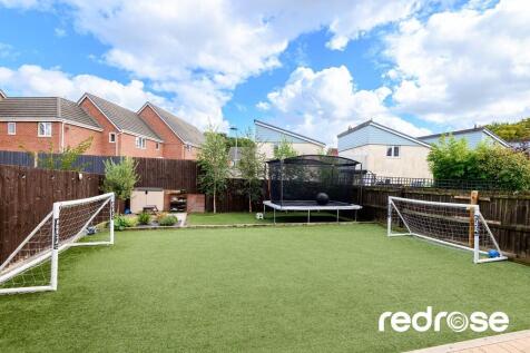 web_16 Old Thorns...